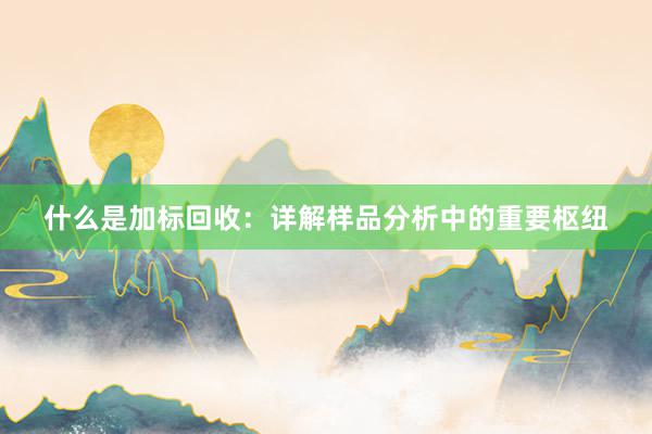 什么是加标回收：详解样品分析中的重要枢纽